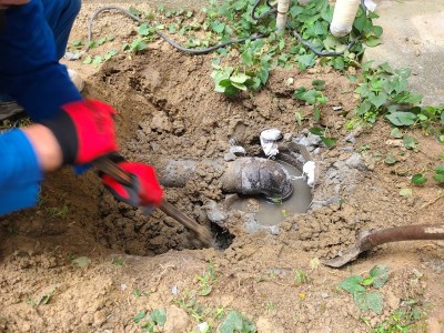 桝 老朽化 排水管 詰まり 交換工事 塩ビ桝 コンクリート桝 神戸市 トラブラン