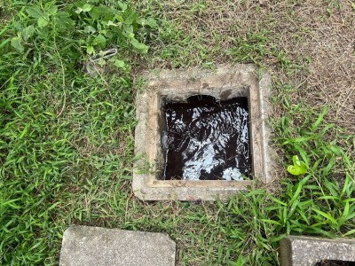 雨水桝会所 雨水桝 詰まり 集水器 洗管 解消 トーラー 雨樋 神戸市 トラブラン 